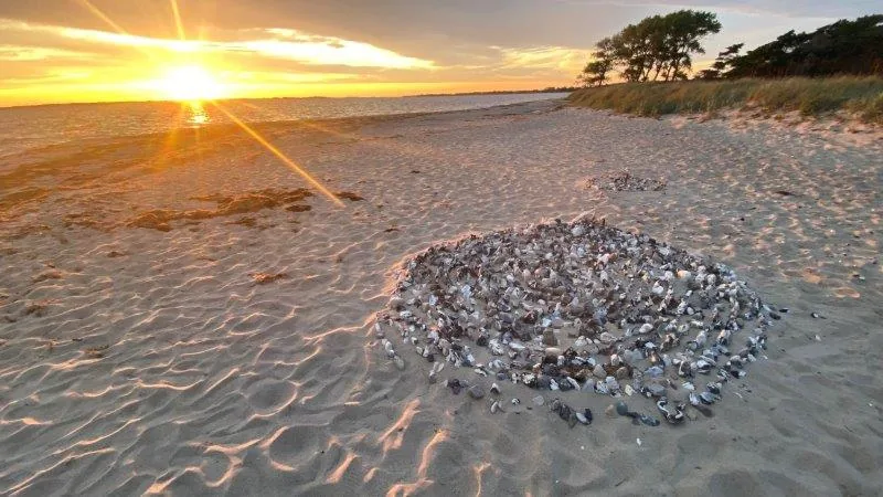 Muschelkreis am Strand bei Sonnenuntergang